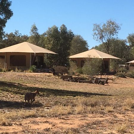 Squeakywindmill Boutique Tent B&B Alice Springs Exterior photo